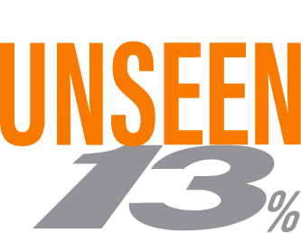 Find the Unseen 13%